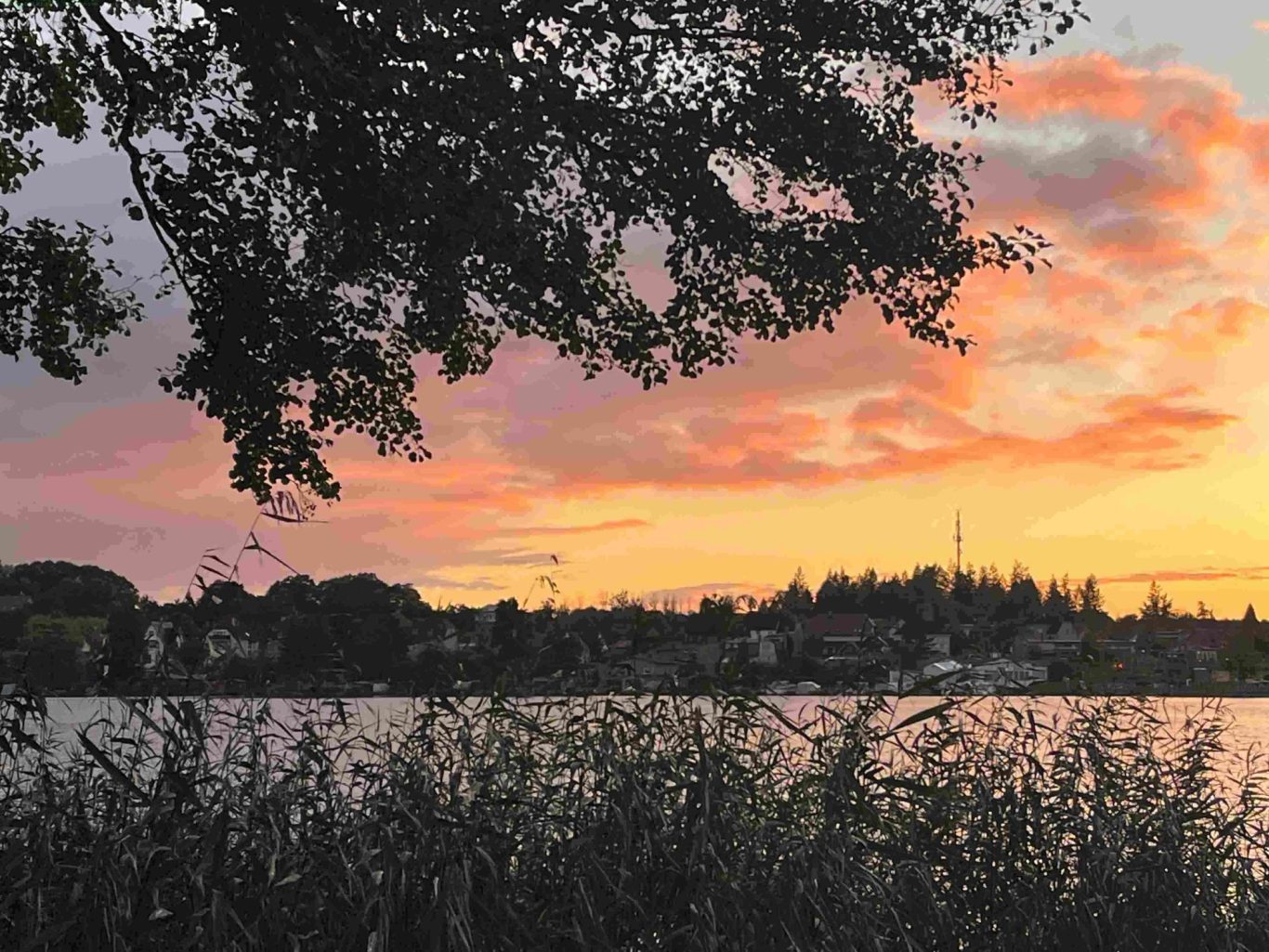 Blick auf Fürstenberg Havel im Abendlicht